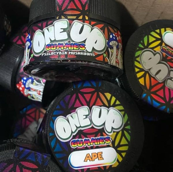one up bar , one up mushroom bar , one up mushroom bars , one up shroom bars , mushroom one up , 1 up bars , one up shrooms , one up chocolate , 1 up mushroom bar , one up chocolate bars , 1up bars , 1 up bar , one up mushrooms , oneup chocolate bars , one up bar mushroom , one up mushroom chocolate , oneup chocolate , one up magic mushroom , one up multiverse , best mushroom chocolate bars , what is a one up bar , one up cones , one up bars , one up gummies , one up mushroom bar review , 1up chocolate bar , the one up bar , one up mushroom , one up shroom bar , 1up mushroom bar , one up anime , 1up shroom bars , one up mushroom chocolate bar packaging , one up mushroom bar reviews , shroom bar , trippy chocolate bars , trippy chocolate bars , up chocolate , kawaii caps mushroom bar , shroom.bars , shroom.bars , mushroom chocalate bar , mushroom chocalate bar , functional mushrooms benefits , up pillow , mushroom infused chocolate , mushroom infused chocolate , mushroom chocolate bars san diego , shroom candy bars , shroom candy bars , one up chocolate mushroom bars , one up chocolate mushroom bars , shroom chocolate bar , mushroom chocolate candy , mushroom ice cream near me , psilocybin chocolate bar brands , magic mushroom candy bar , magic chocolate bar , microdose meaning , magic truffles mushroom bar , magic mushroom chocolate bars where to buy , mushroom edibles chocolate , mushroom edibles chocolate , shroom bar nearby , one up shrooms , one up chocolate bar , 1up pill , chocolate bars with psilocybin , mushroom chocolate bars michigan , psilovibin bars , one up chocolate , one up chocolate , lucid chocolate bars , one up bar , red velvet mushroom , medlab mush bars , mushroom chocolate bars , mushroom chocolate bars , magic mushroom bars , psilocybe cubensis chocolate bars , psilocybe cubensis chocolate bars , best shroom bars , one up magic mushroom , oneup bar mushroom , willy wonky bar , mushroom one up , mushroom one up , where to buy mushroom chocolate , oneup chocolate , cookies and cream mushroom bar , psychedelic mushroom chocolate bar packaging , psychedelic mushroom chocolate , psilocybin bar , where to buy shroom bars , vibe mushrooms , one up polkadot chocolate, one up bar polkadot , polkadot bar , polkadot mushroom chocolate, one up gummies , one up gummy